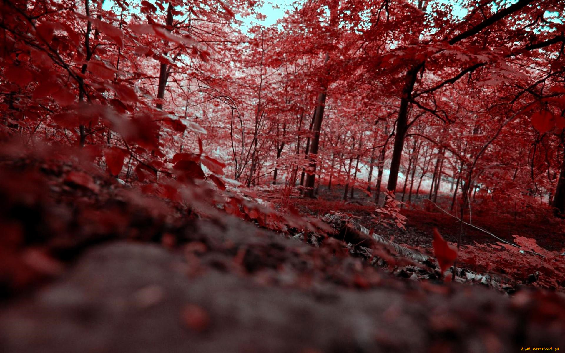 , , , 